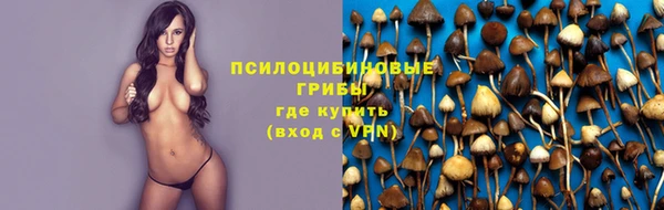 спиды Медногорск