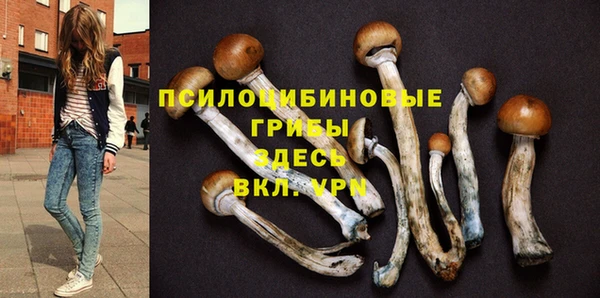 спиды Медногорск