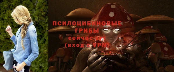 СК Медвежьегорск