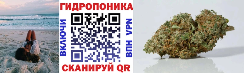 Бошки марихуана марихуана  OMG ссылка  Сухиничи 